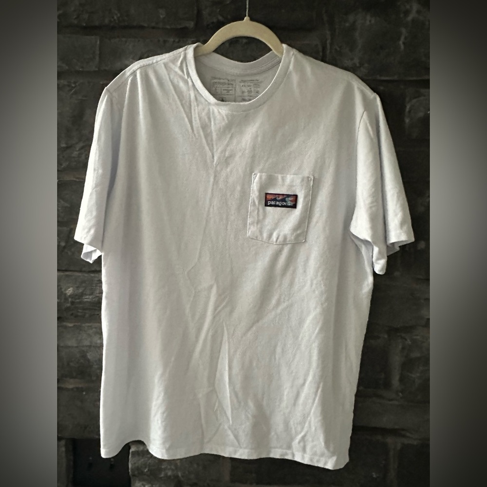 Patagonia shirt